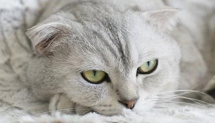 九游官网下载电脑版-CBA球队高强度训练备战新赛季，冠军呼唤着他们，cba球员训练时间