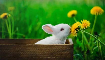 九游网页版入口-日本队前锋连续三场破门，状态火热，日本前锋排名