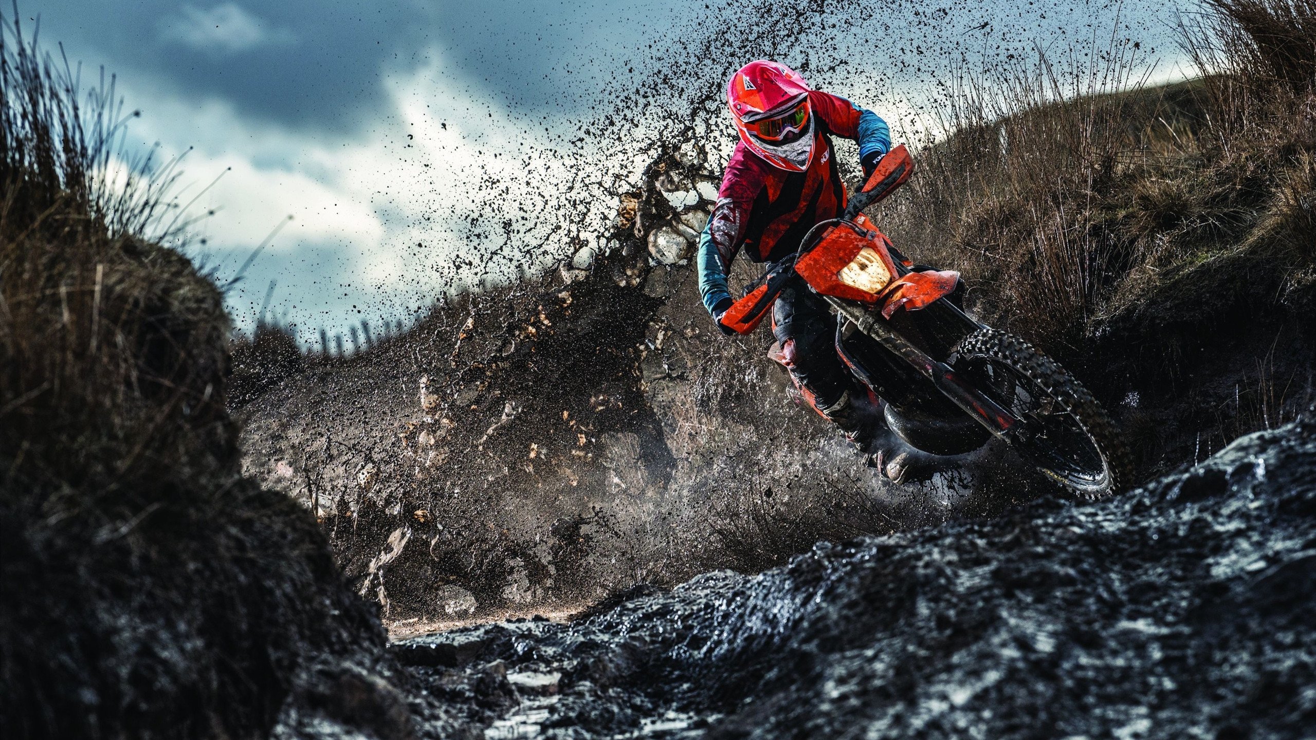 九游官网下载app下载-赛马盛事，奔腾马匹展现非凡速度，奔马奔腾